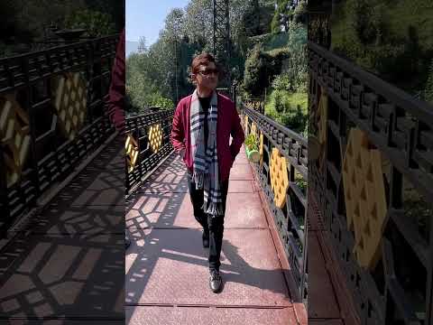 🦜🦜🦢🦜#assamesesong #zubeen #zubeengarg #ytshort