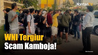 P2MI: Tren WNI ke Kamboja Meningkat, Diduga Terkait Online Scam