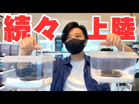 遂にこの時がやってきました...!