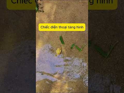 Chiếc điện thoại tàng hình 🤩 #<strong>smartphone</strong> #xh #funny #iphone #<strong>samsung</strong>