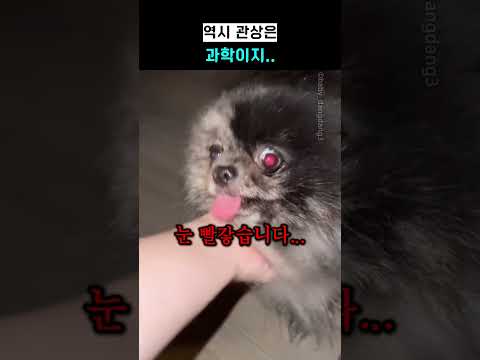 <strong>역시</strong> 관상은 과학이지..