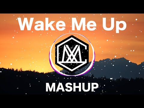 Wake Me Up / Avicii ( iamSHUM Mashup)