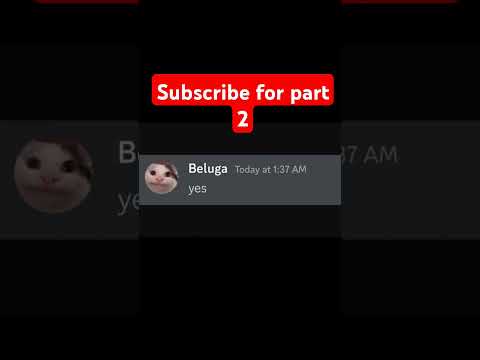 FUNNY cat 🤣 #cats #funny #memes #daily