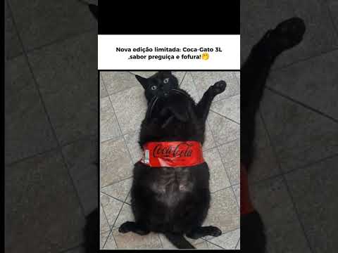 Essa gatinha entro em um rótulo da Coca Cola, agora ela parece uma coquinha de 3L