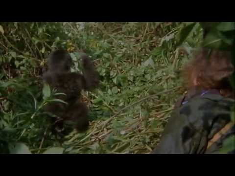 Gorillas in the Mist: The Story of Dian Fossey'