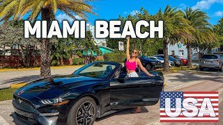 #52 USA - Lecimy do Miami! Motel, MUSTANG i Miami Beach! Chcemy zobaczyć jak żyje się na Florydzie!