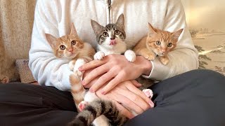 動画サムネイル