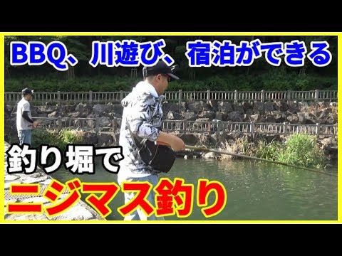700匹放流されてる釣り堀でニジマス釣り【福井県 天池の宿】