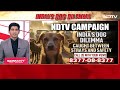 Stray Dog Attack | Indias Dog Dilemma: Can We Coexist With Stray Dogs?  - 16:07 min - News - Video