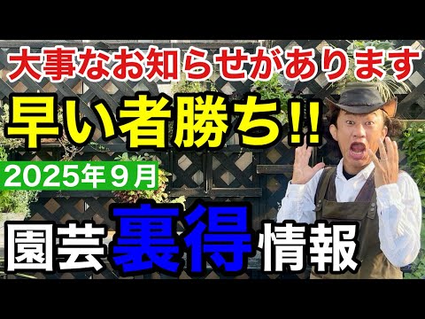 【９月の最新園芸情報】本日９月から〇〇をどんどん販売します！　　　　　　　　【カーメン君】【園芸】【ガーデニング】【初心者】