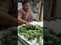 తాలింపు గోంగూర 20 రోజులు తినచ్చు #gongura #talimpugongura