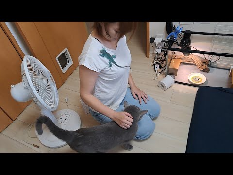 甘えん坊すずまろ＆青いイグアナお空ちゃん