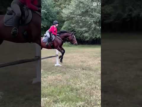 Is it getting cold where you live? #horse #equestrianjourney #fall