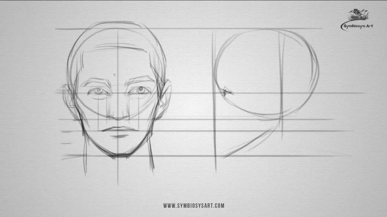 How to draw a male face - front and side view - YouTube