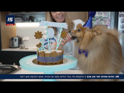 מעון יום יוקרתי, *י בוטיק ועוגות פאר: החיים הסודיים של *י ה-VIP