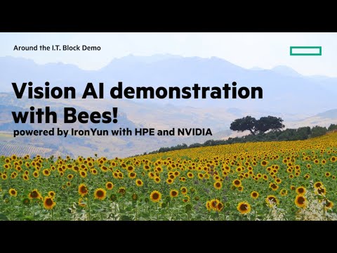 HPE AI Vision bee demo