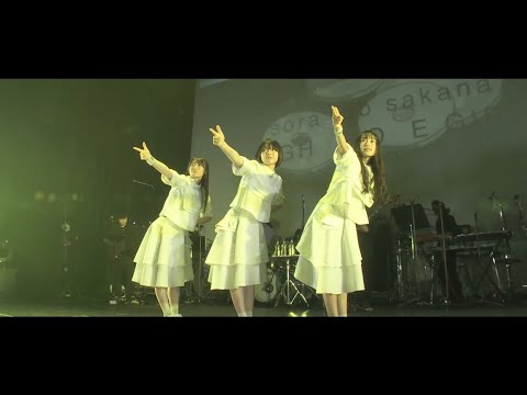 sora tob sakana/New Stranger（LIVE TOUR 2019「天球の地図」【5th anniversary oneman live】《band set》）