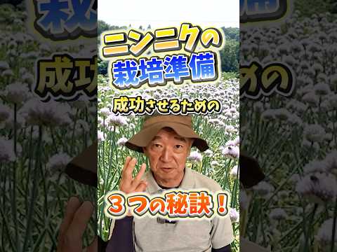 家庭菜園や農園のニンニク栽培準備！成功させる3つの秘訣！【農家直伝】#shorts