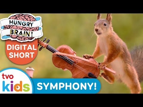 HUNGRY BRAIN 🧠 4 Facts About SYMPHONY ORCHESTRAS 🎻 Musical TVOkids!