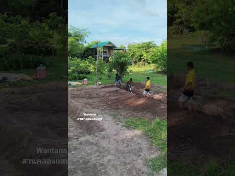 ทุกสิ่งทุกอย่างคือการเรียนรู้.. #ขุดคลองไส้ไก่ #สร้างแหล่งอาหาร #canal #nature #automobile