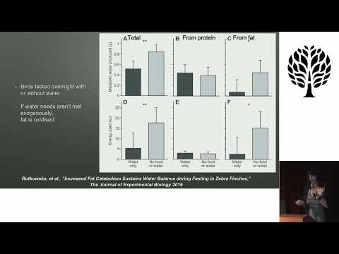 Metabolic Water: Excerpt from  Blood, sweat, and tears how much salt do we really need? AHS22