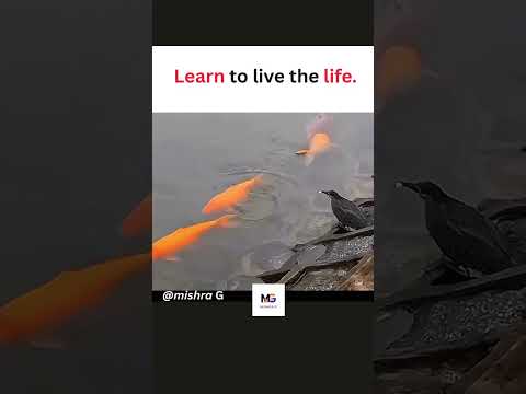 Learn to Live #inspiration #motivational  #fypシ