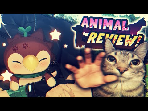 【Animal Review】Your Cats? Your Dogs? Your Pet Fish? HAND 'EM OVER