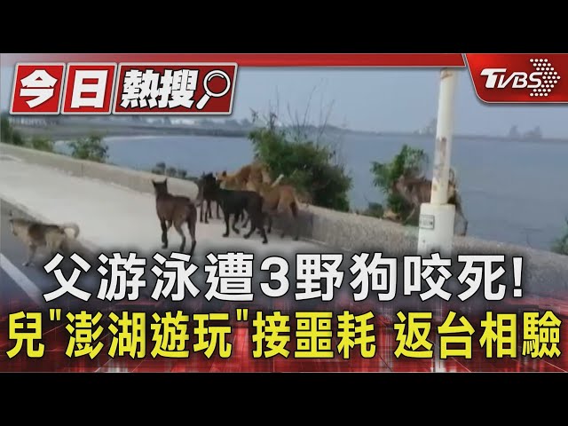 父游泳遭3野狗咬死!兒「澎湖遊玩」接噩耗 返台相驗｜TVBS新聞 @TVBSNEWS01