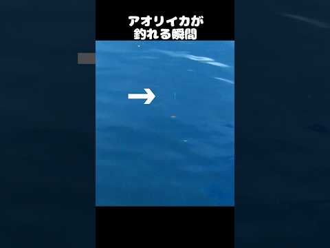 thumbnail_tgkvSnT7Bqw
