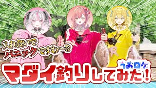 【実写動画】思い出の地でマダイ爆釣！？初心者釣りガールが釣り堀でマダイ釣りリベンジ！【#うおむすめ】【#うおロケ】