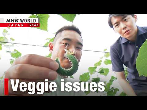 Japan's extreme heat hits harvestsーNHK WORLD-JAPAN NEWS