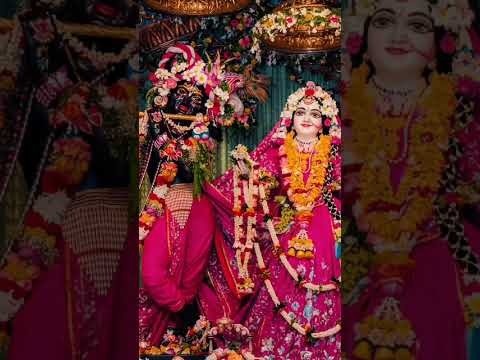 श्री राधे श्री राधे