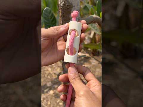 How to make a clothesline.