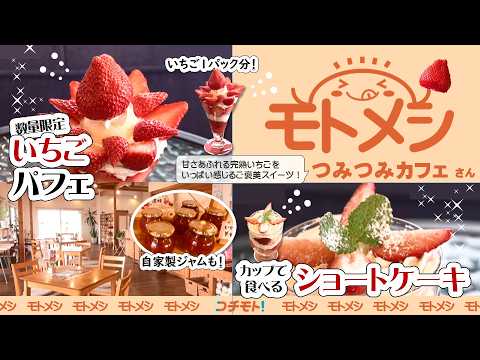 モトメシ つみつみカフェ　2026年3月16日～