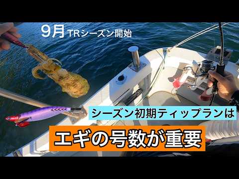 【ティップラン】シーズン初期の秋イカはエギサイズで反応が変わる 