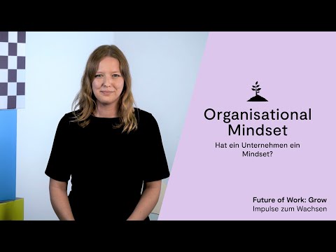 Organisational Mindset: Hat ein Unternehmen ein Mindset?