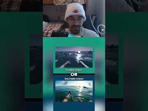 How dare he insult me 😭😭😭😭💔💔💔 #mrbeast #funny #memes #foryouシ