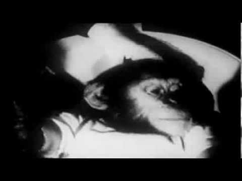 Late at Night: Voices of Ordinary Madness'