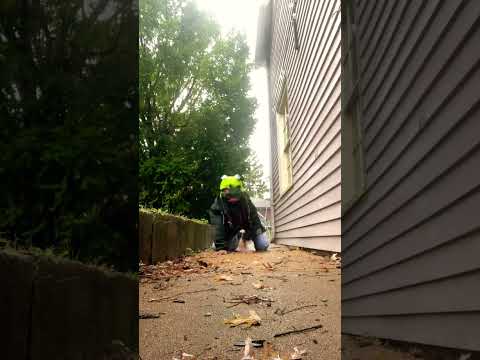 ⓁⒶⓁⒶⓁⒶ~...