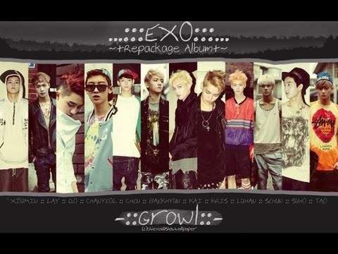 EXO IDEAL TYPES (everything you need to know about their ideal types)
