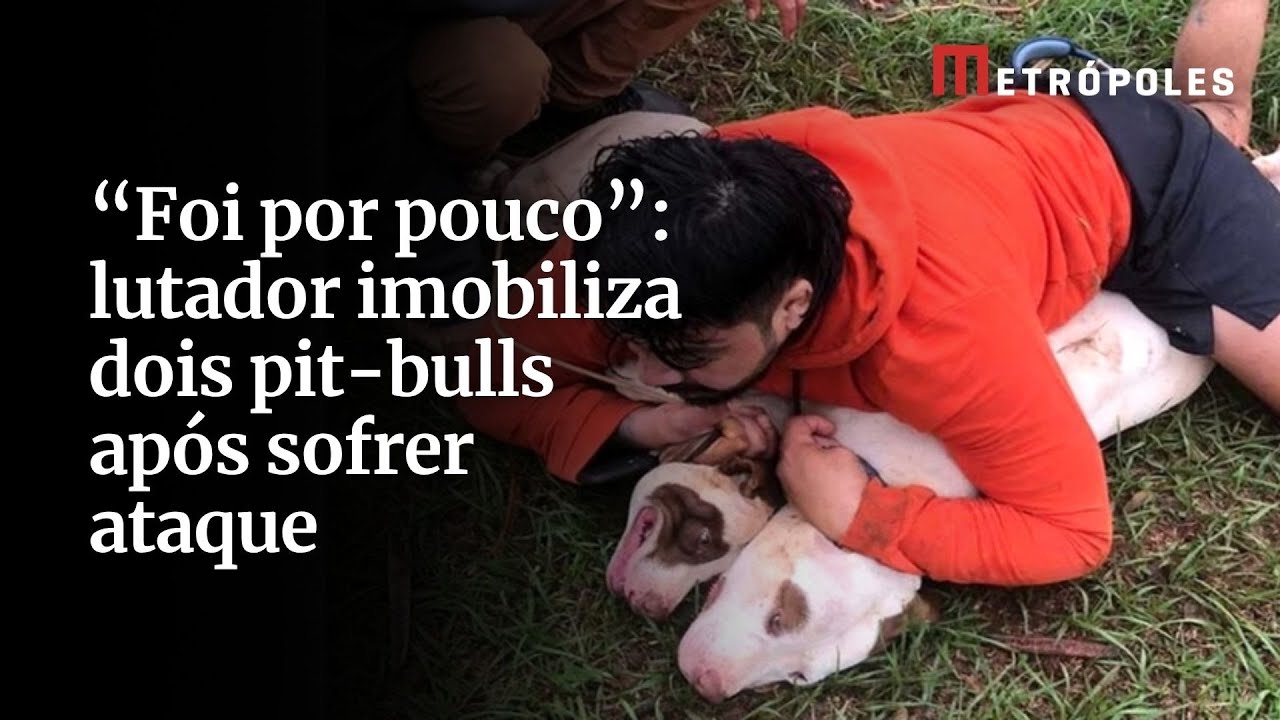Foi por pouco lutador imobiliza dois pit bulls após sofrer ataque