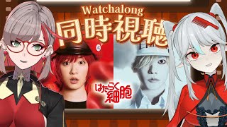 【Nrtflix 電影｜同時視聴】 佐藤健主演工作細胞真人版電影  ft. ‪哭哭班西