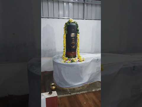 Powerful Sani Pradosham Pooja| Shiva Pradosha Kalam Nageshwar Swamy Nagathaamman temple siruseri