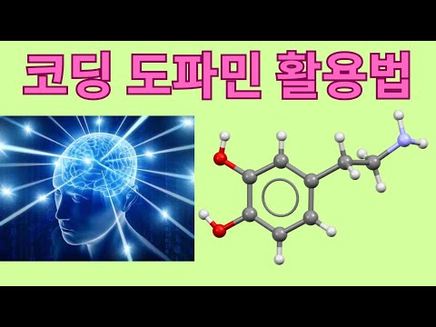 코딩 동기의 과학: 도파민 활용법 (코딩을 의무가 아닌 열정으로 바꾸는 방법)