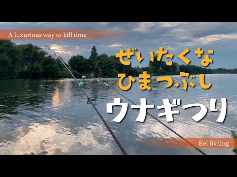 贅沢な暇つぶし！地元の川でまったり夕方から【ウナギ釣り】