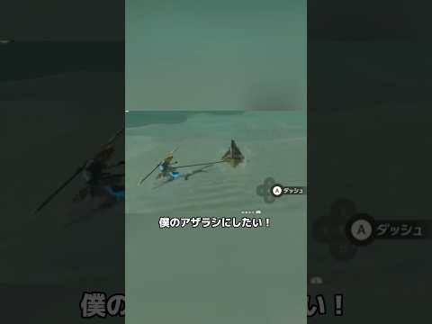 thumbnail_tjy8UpHF9Jk