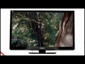 TV Panasonic Viera 3D TXP46GT30