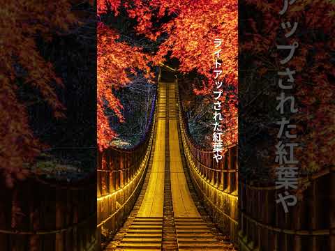 まもなく紅葉シーズンが到来します！