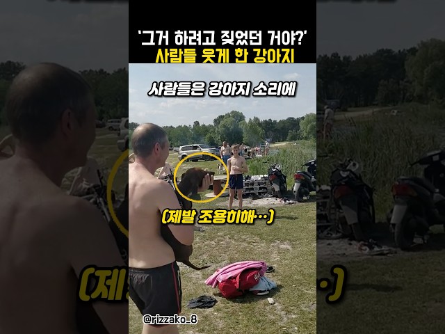 사람들을 빵 터지게 한 강아지의 행동😂 #강아지