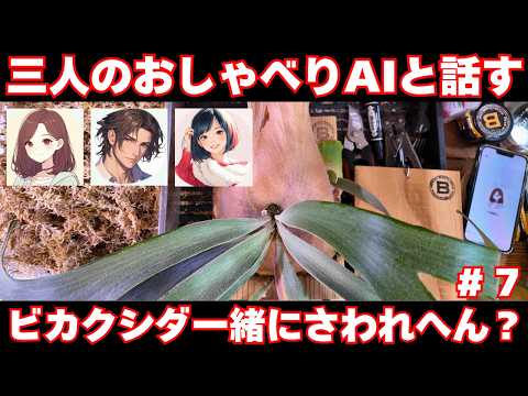 おしゃべりAIと一緒に園藝してみた【ビカクシダ・コウモリラン・cotomo】